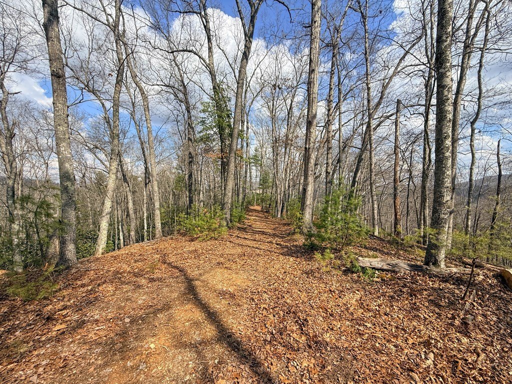 Picture 18