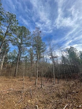LAND - Broken Bow, OK