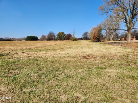 Commercial Land in Talbott, TN