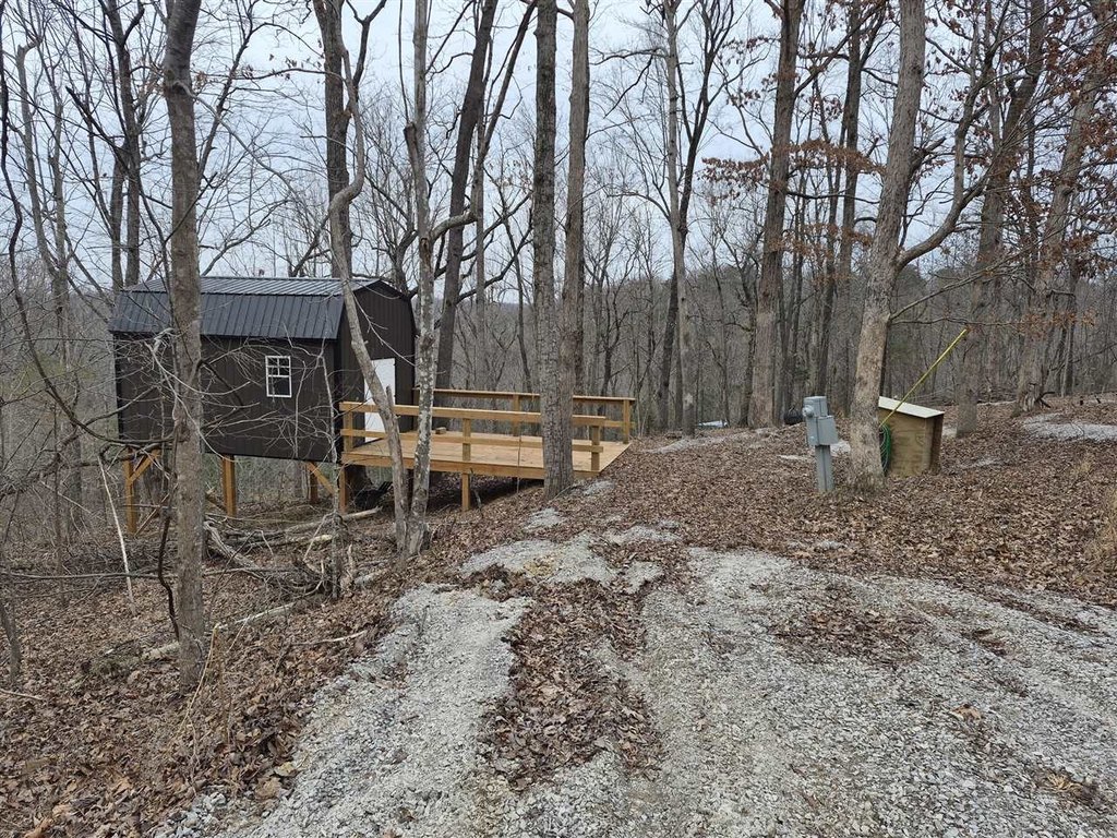 Picture 9