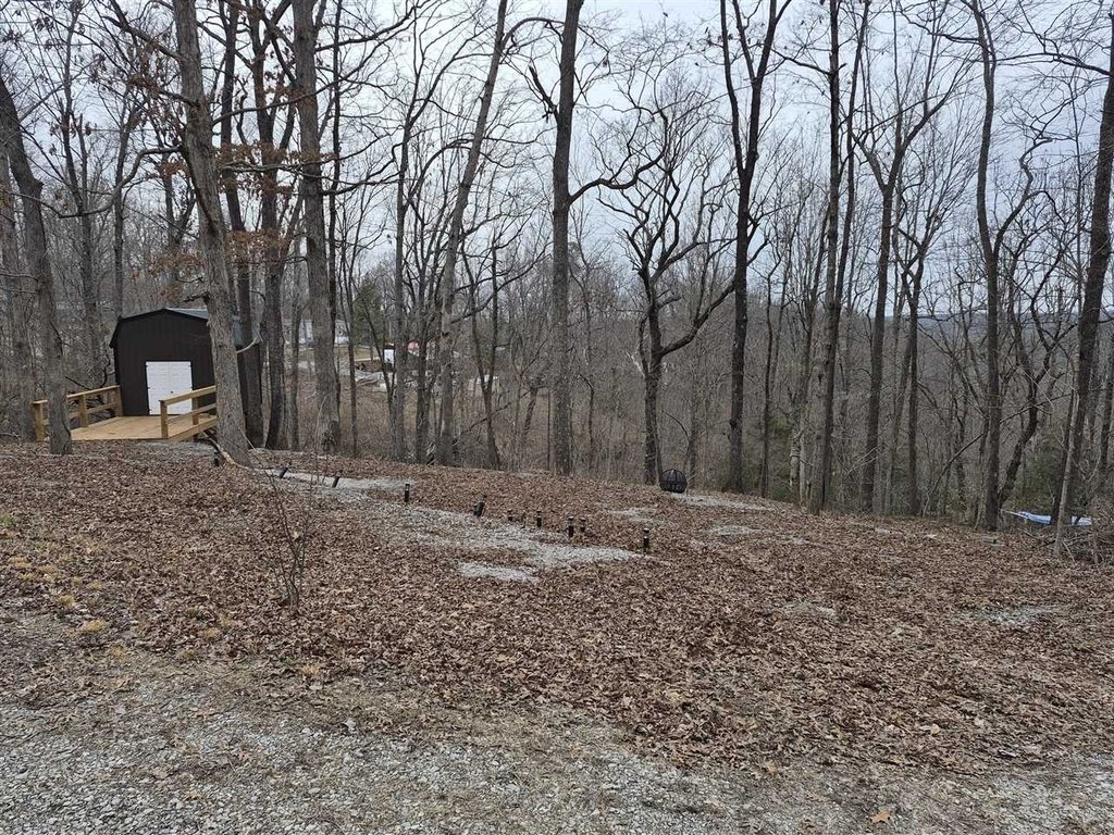 Picture 2