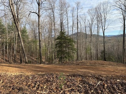 Blairsville Vacant Lot with View