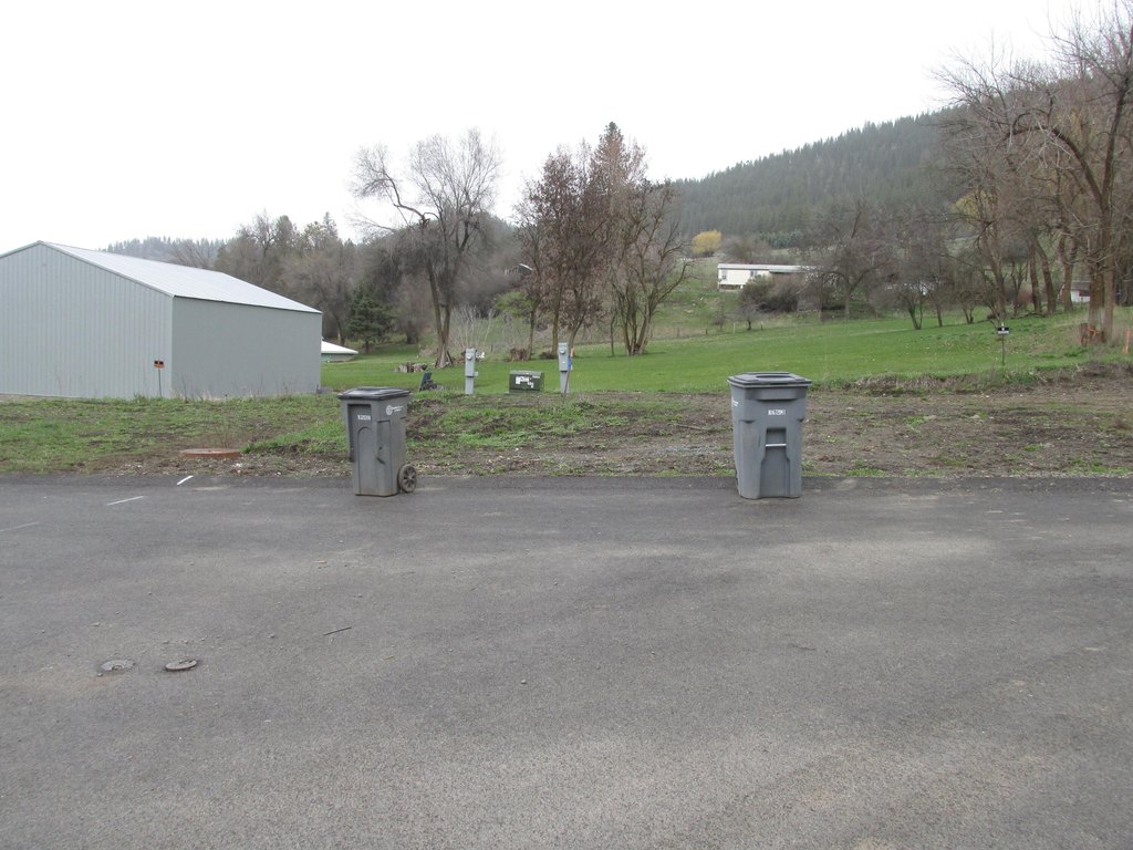 Picture 12