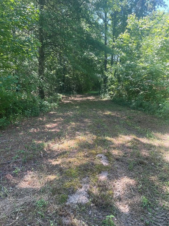 Picture 13