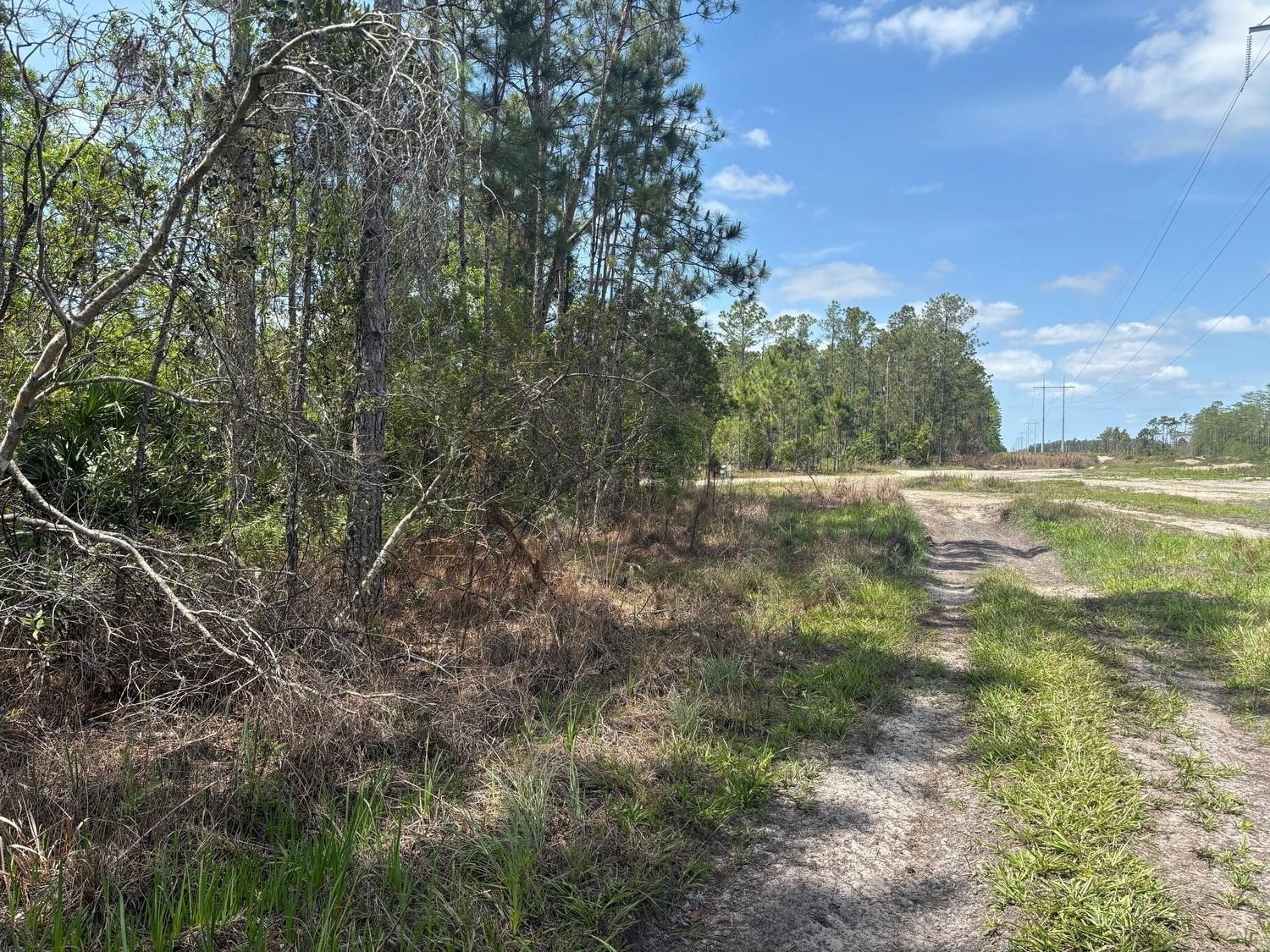 Holopaw Land for Outdoor Activities