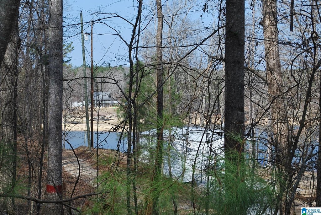 Picture 2
