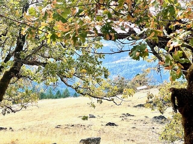 Dinsmore Land with Agricultural Potential