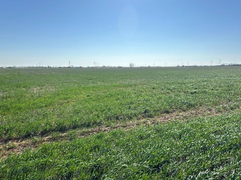 440 Acres of Oklahoma Land