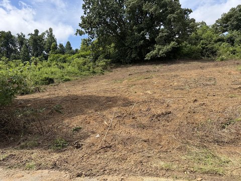 LAND - Mt Vernon, KY