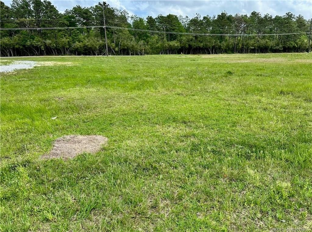 Picture 4