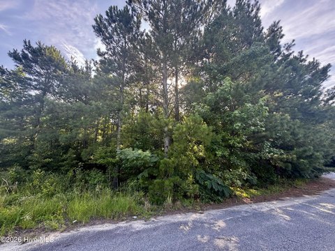LAND - Pinetops, NC