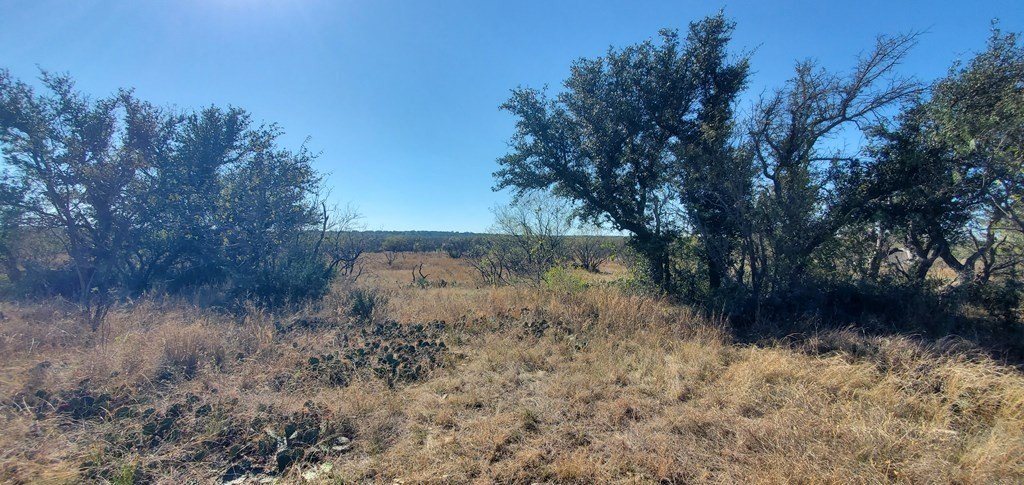 Picture 8