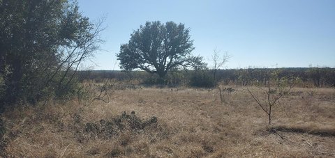 Recreational Land in Fort McKavett