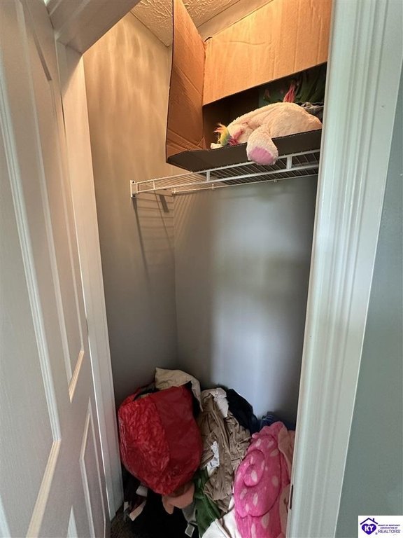 Picture 29
