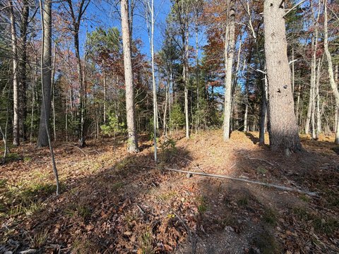 Land, Eagle River, WI