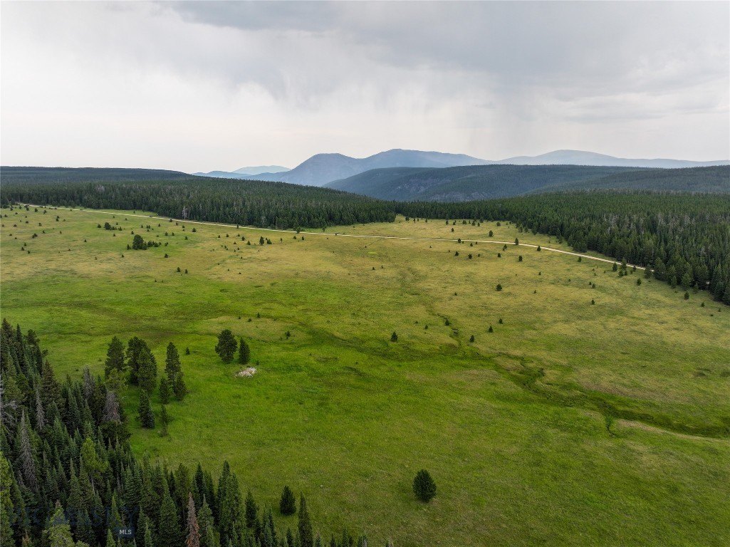 Raw Land Surrounded by Forest