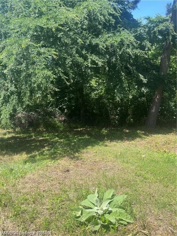 Picture 2