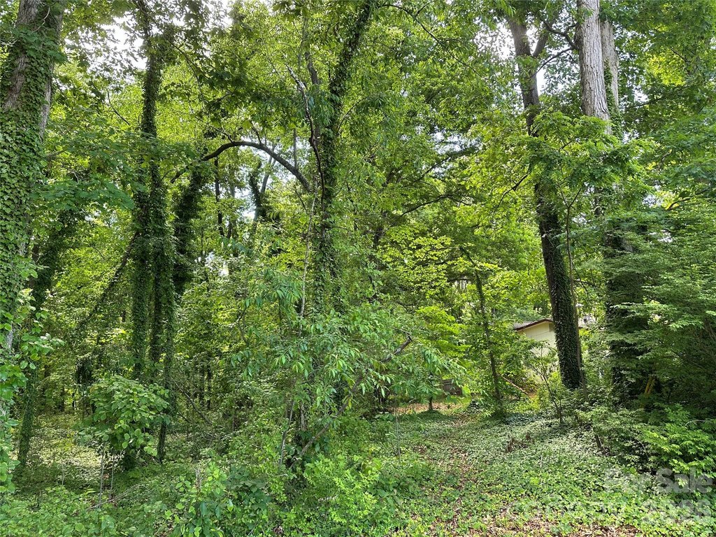 Picture 20