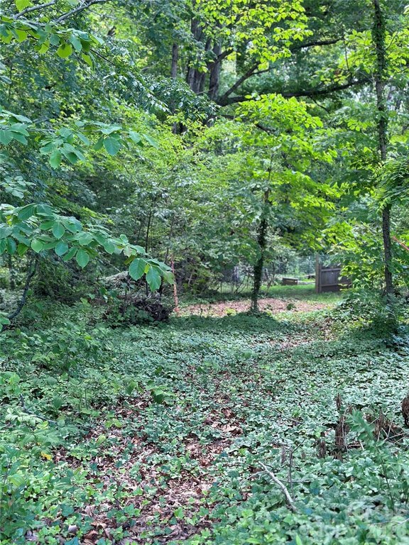 Picture 19