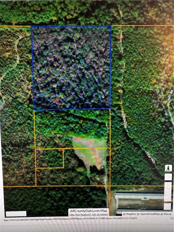 Picture 5