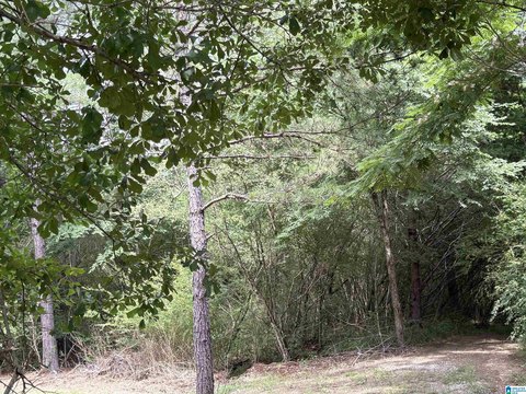 Estate Buildable Lot