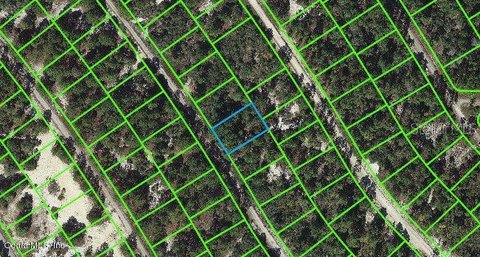 Residential Land in Sun N Lakes