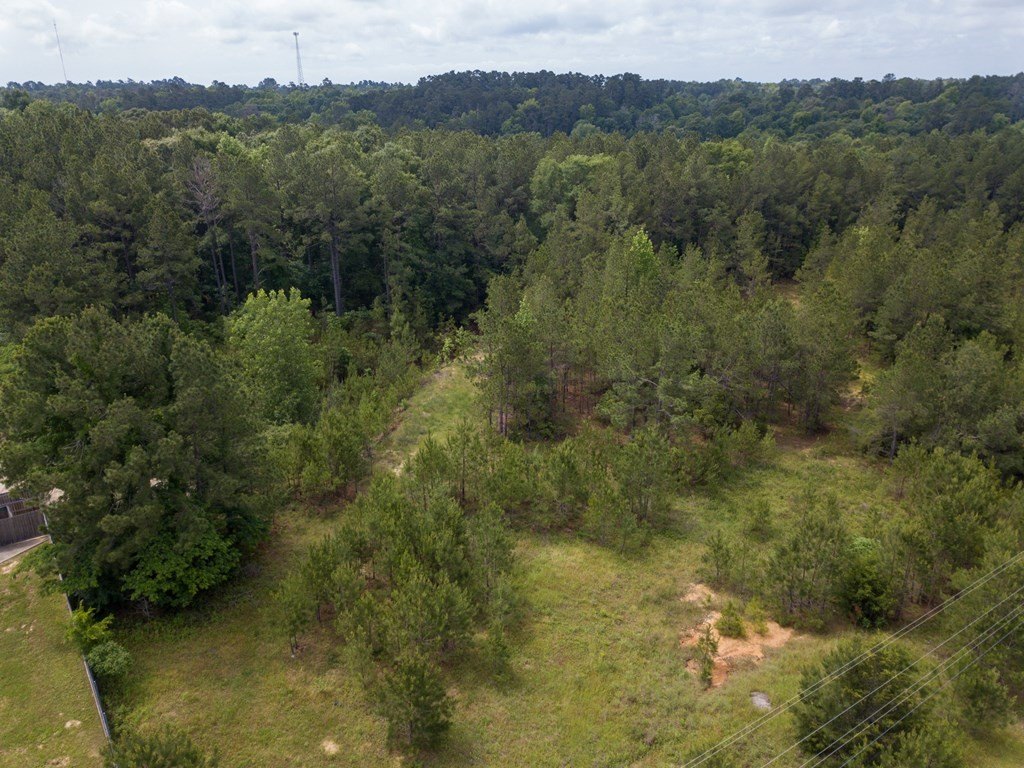 Picture 10