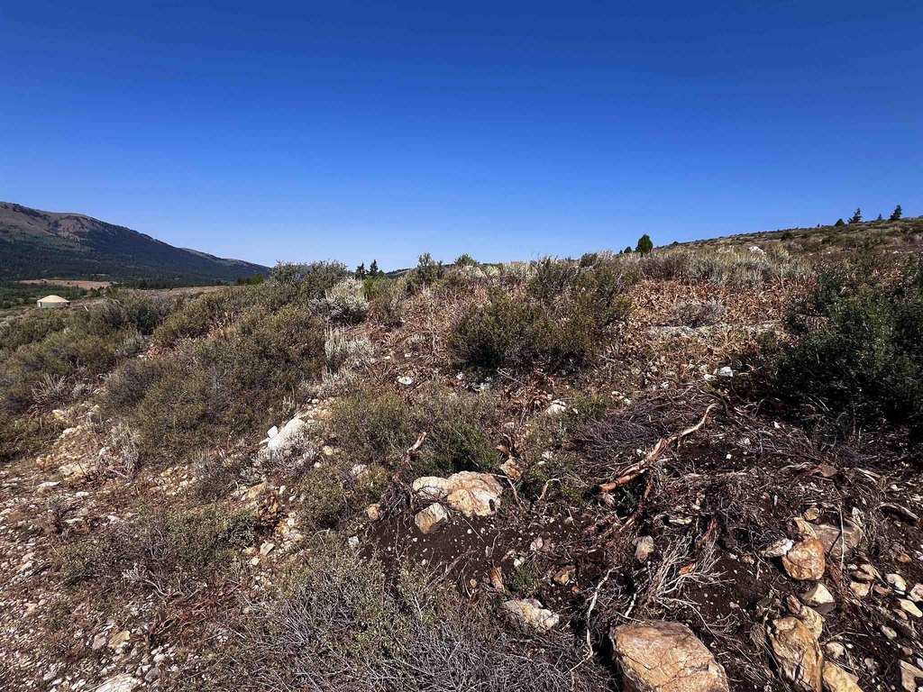 Picture 30