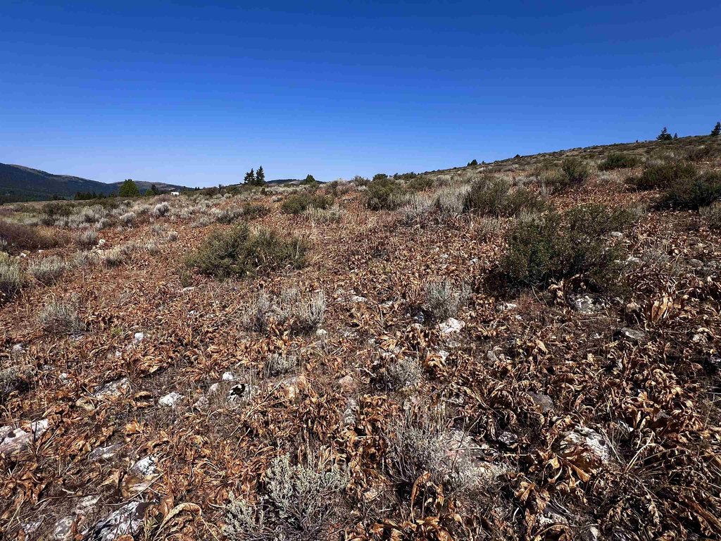 Picture 34
