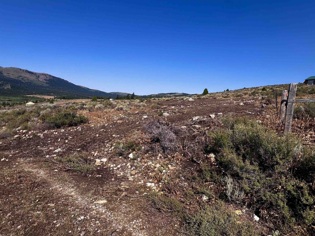 Picture 22