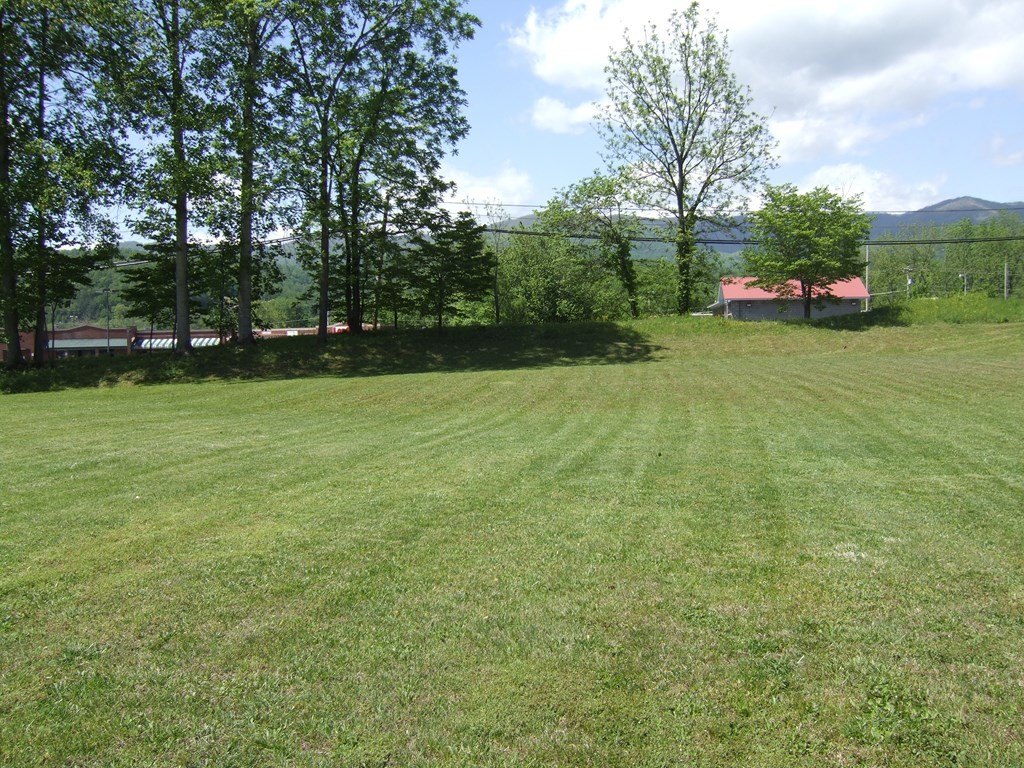 Picture 11