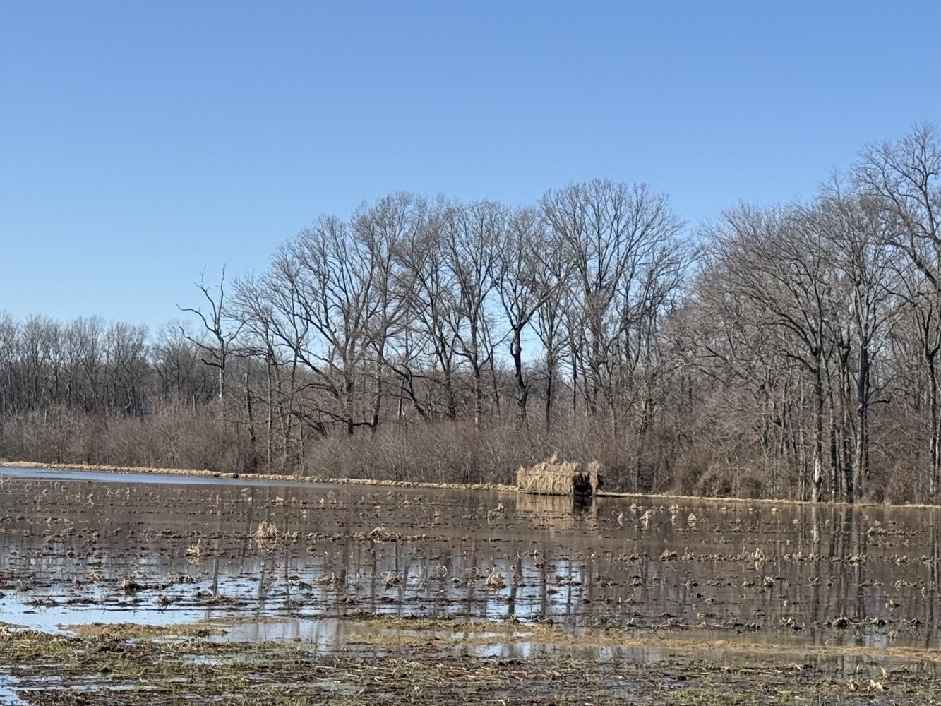 Productive Farm with Hunting Potential