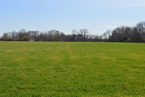 Farm Tract with Tillable Acreage