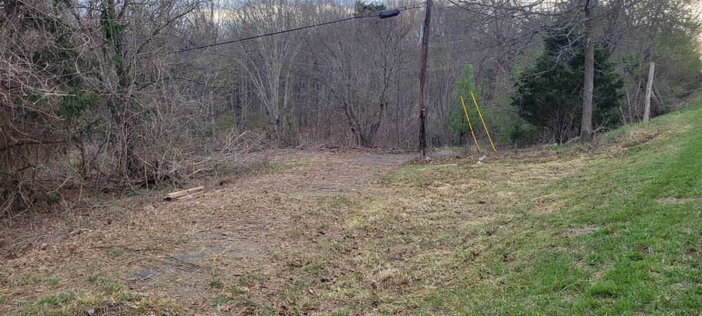 Picture 3