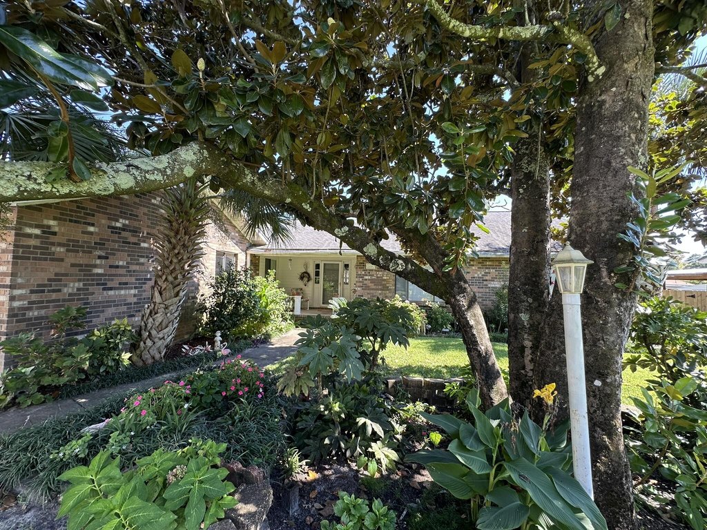 Picture 18
