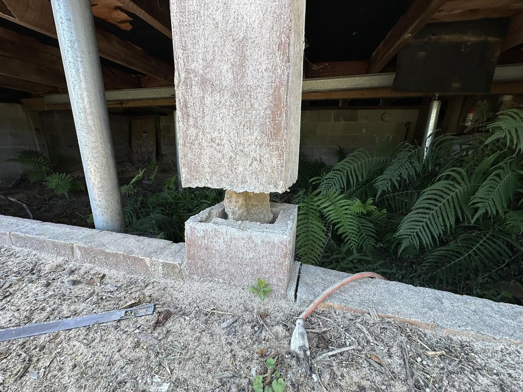 Picture 28
