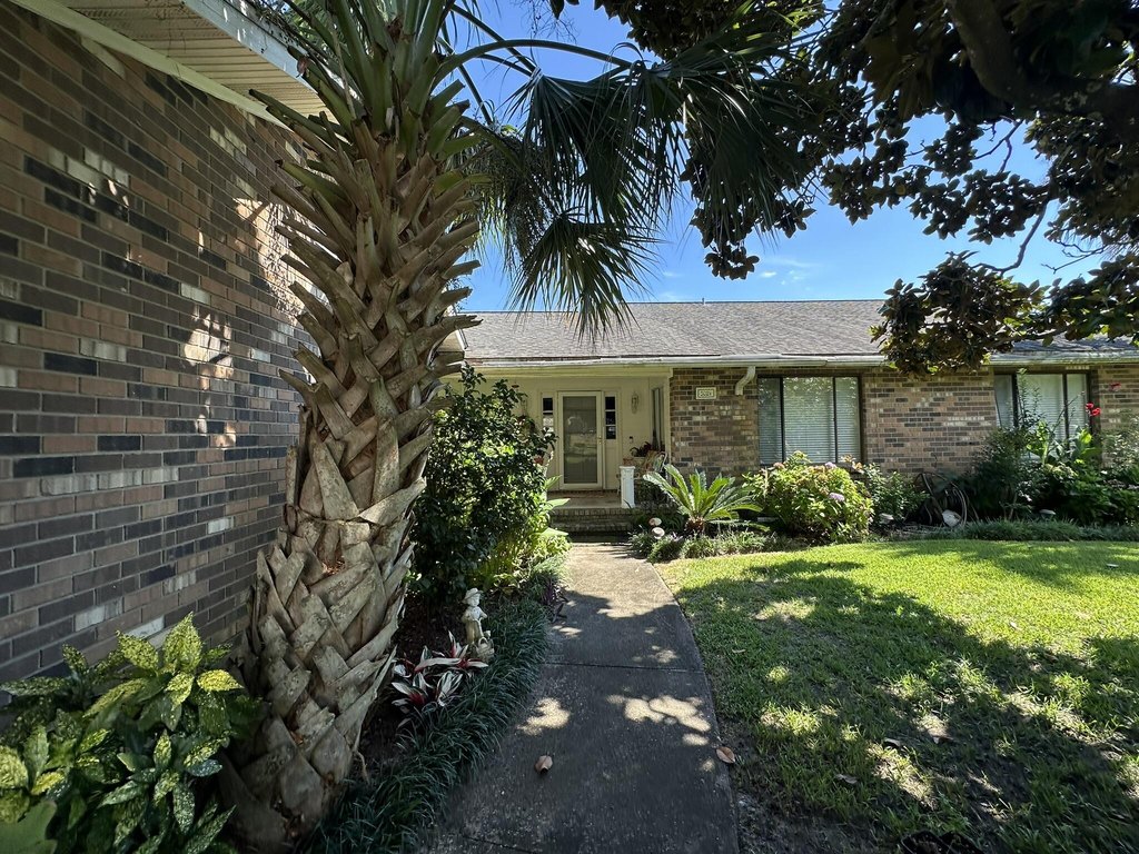 Picture 19