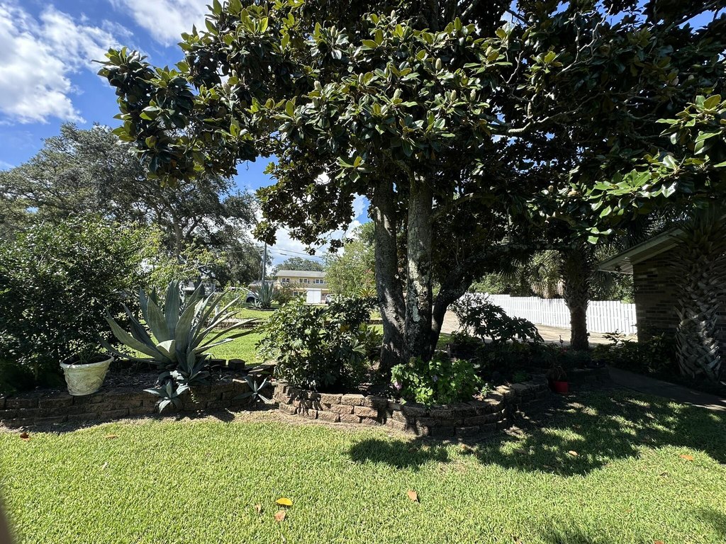 Picture 5