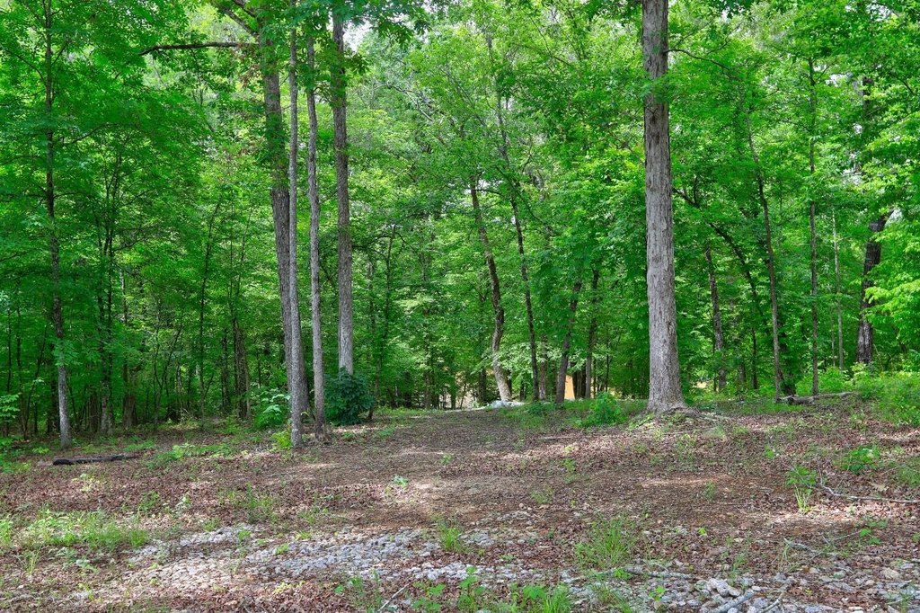 Picture 16