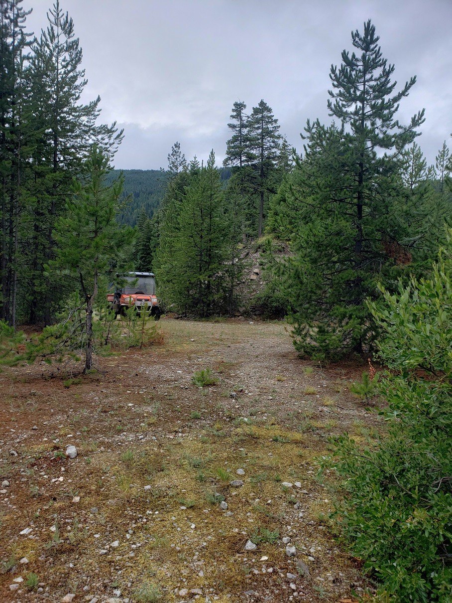 Secluded Wooded Land with Creek