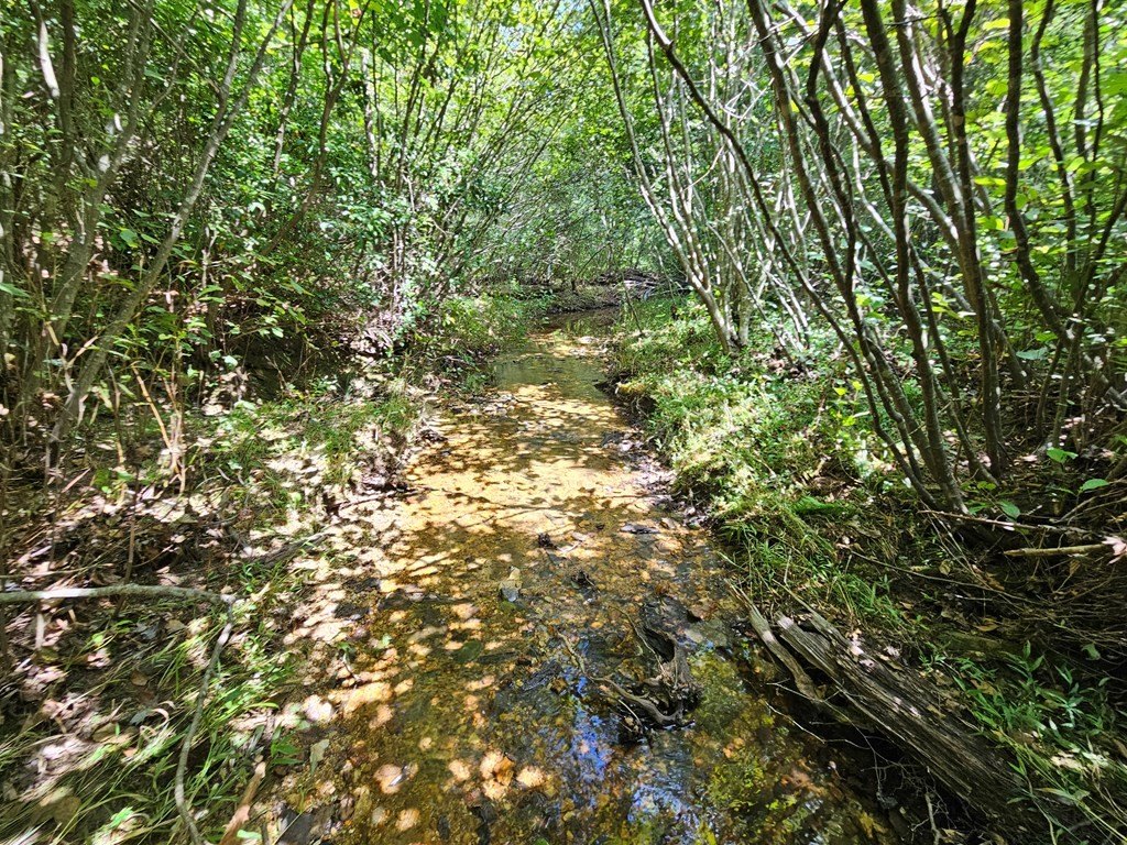 Picture 13