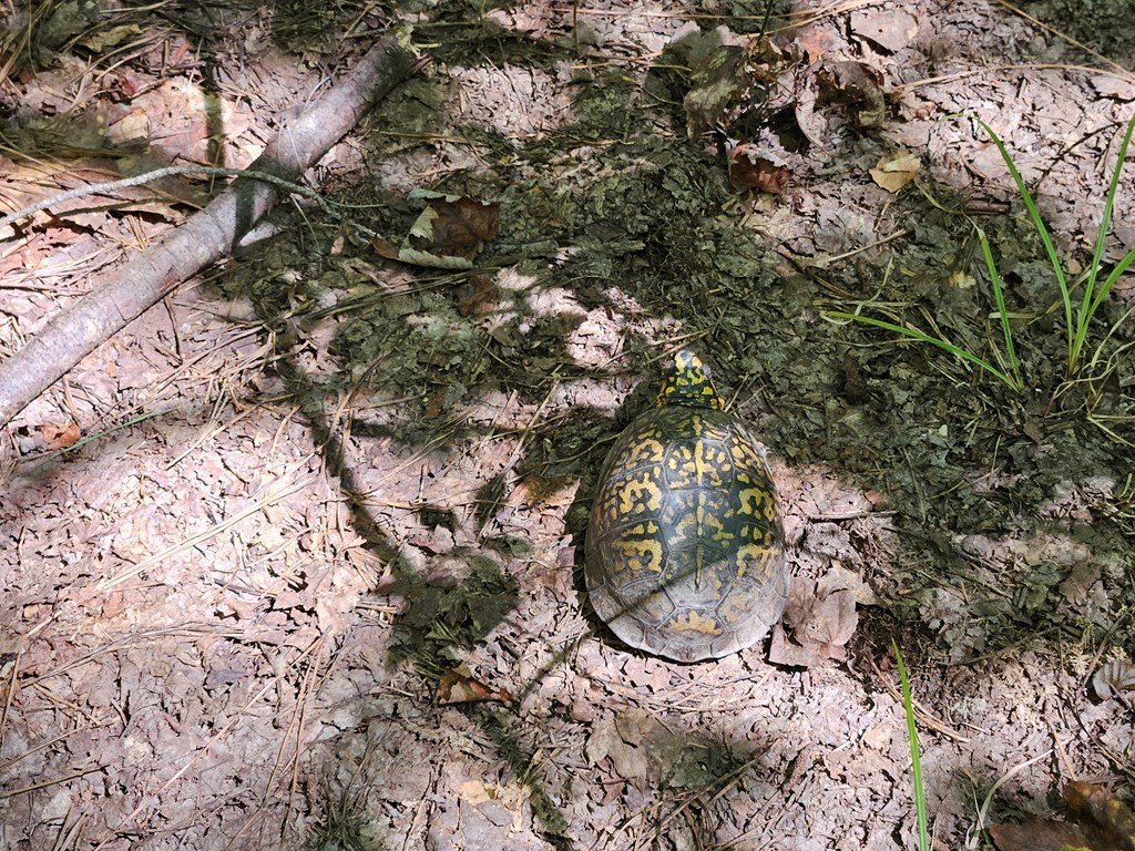 Picture 22