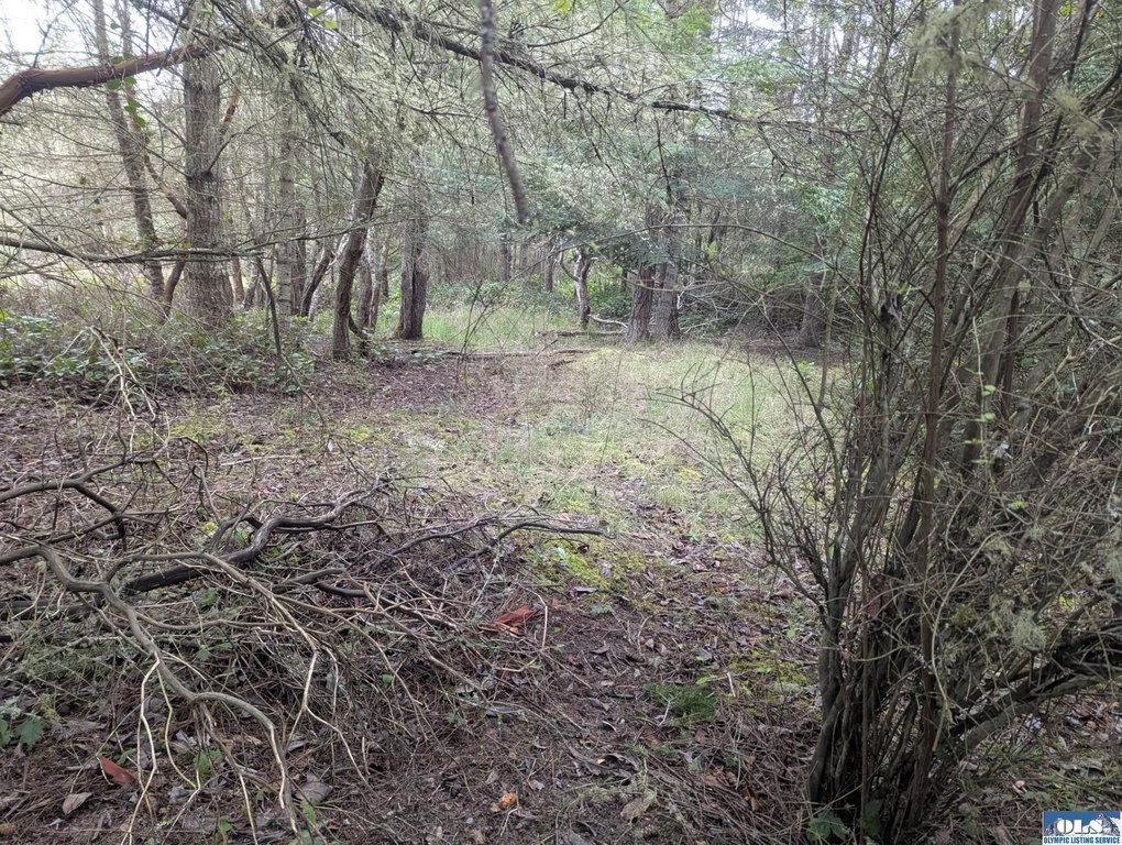 Picture 13