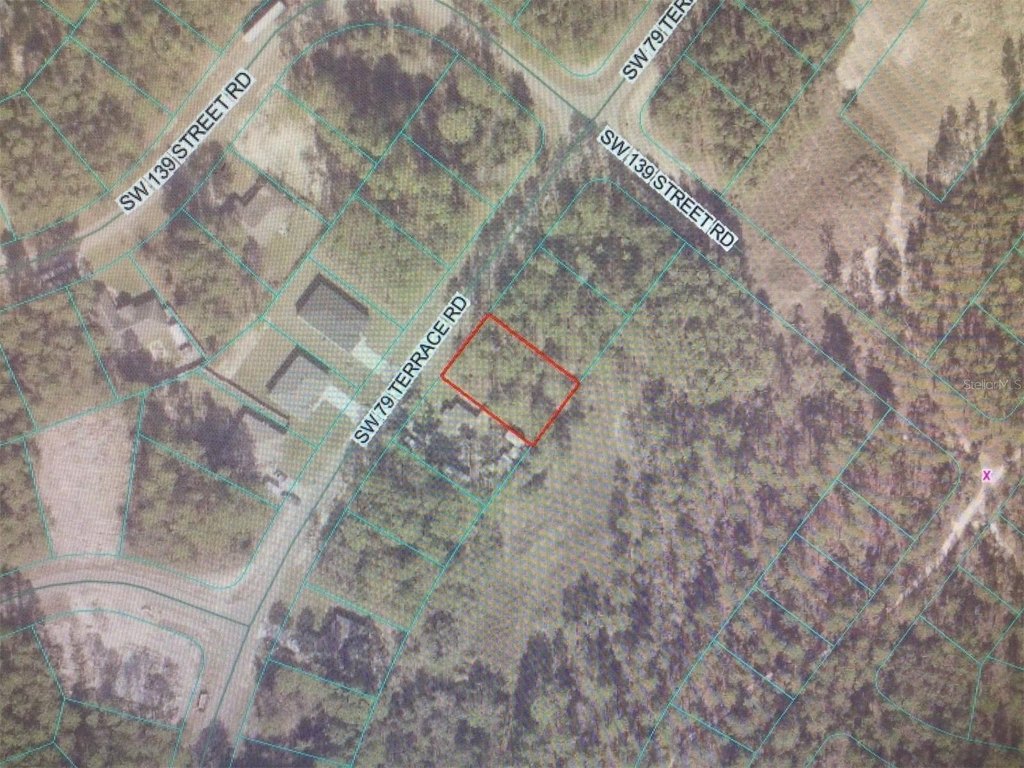 Picture 3