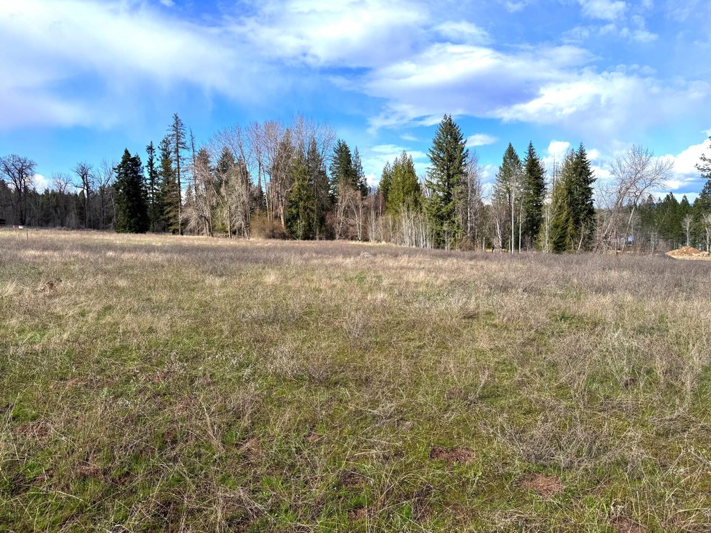 Picture 35