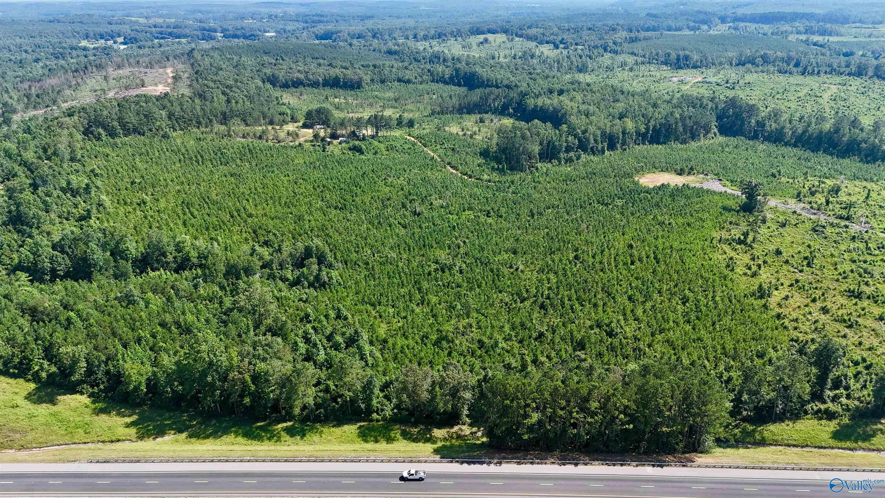 220 Acres Timber & Hunting
