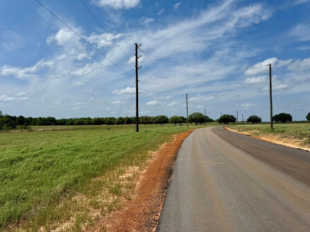 Picture 9