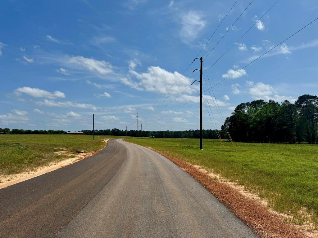 Picture 10