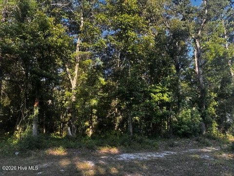 Residential Lot with Mature Trees