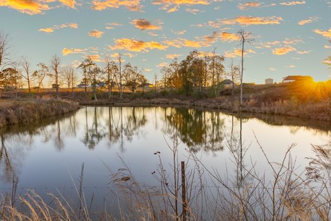 Open Land with Pond Views